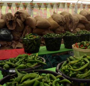 Taste of Chili baskets of chiles Baskets of Fresh Chiles at Taste of Chili