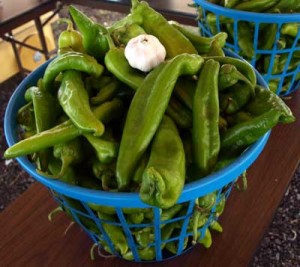 Chile bushel with garlic Bushel of Chile and garlic